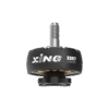 IFLIGHT XING2 2207 2-6S FPV Motor